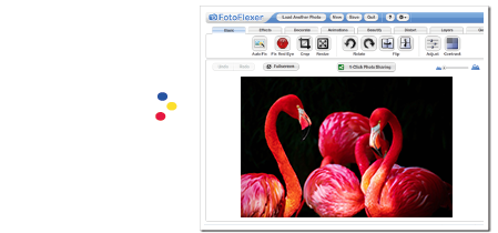Retouchez vos images directement dans l'interface de Screensoft et gagnez votre temps !